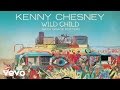 Kenny Chesney with Grace Potter - Wild Child (with Grace Potter) (Audio)