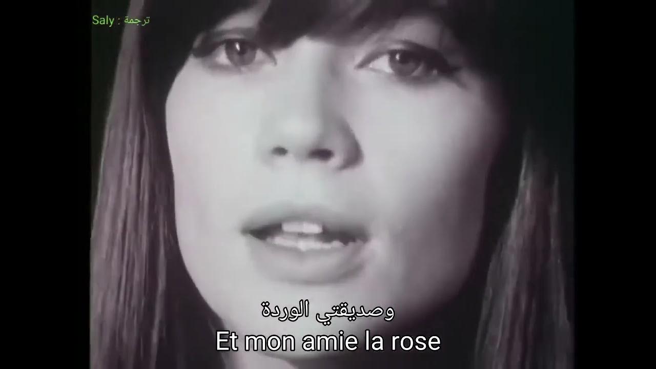 Francoise Hardy Mon Amie La Rose Lyrics Françoise Hardy - Mon amie la rose (Fr Lyrics) مترجمة فرانسواز هاردي