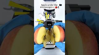 Apel ketika di mikroskop?!🙀 #microscope #science #viral