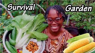 Season 3 EP 10: Your Corn Will Love You for This: Grow Bigger, Fuller Corn
