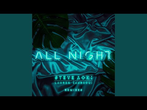 All Night (Steve Aoki Remix)