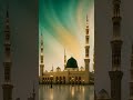 Sallay Alaa Wasalum Foryou Love 