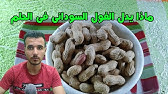 تفسير حلم الفول السوداني في المنام للعزباء والمتزوجه وللحامل للارمله والمطلقه والرجل Youtube