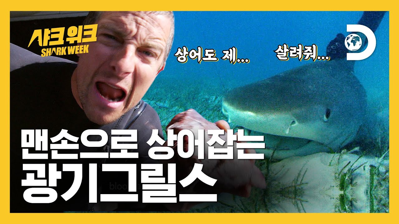 상어도 제... 친구죠 생선 샤워하고 바닷속으로★ 오늘부터 샤크 그릴스로 개명! [샤크 위크 : 베어 그릴스 vs 상어]