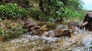 Restful Forest Creek Water Sounds for Instant Sleep & Anxiety Relief | Magic Nature screenshot 4