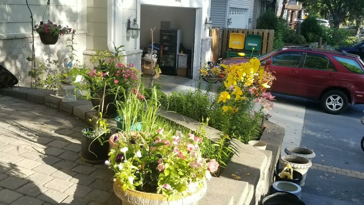My flower garden YouTube