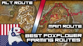 Best Foxflower Farming Route Still Good With Flying - Legion D Farming 7.2 With Herbalism