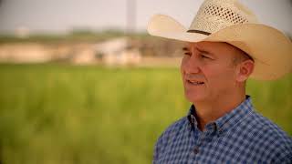 Micro Technologies Feedyard Solutions