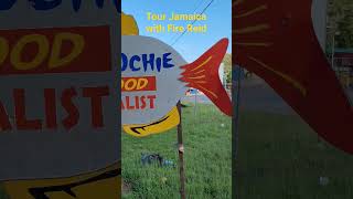 Jamaica Tour Guide, St.Elizabeth Jamaica