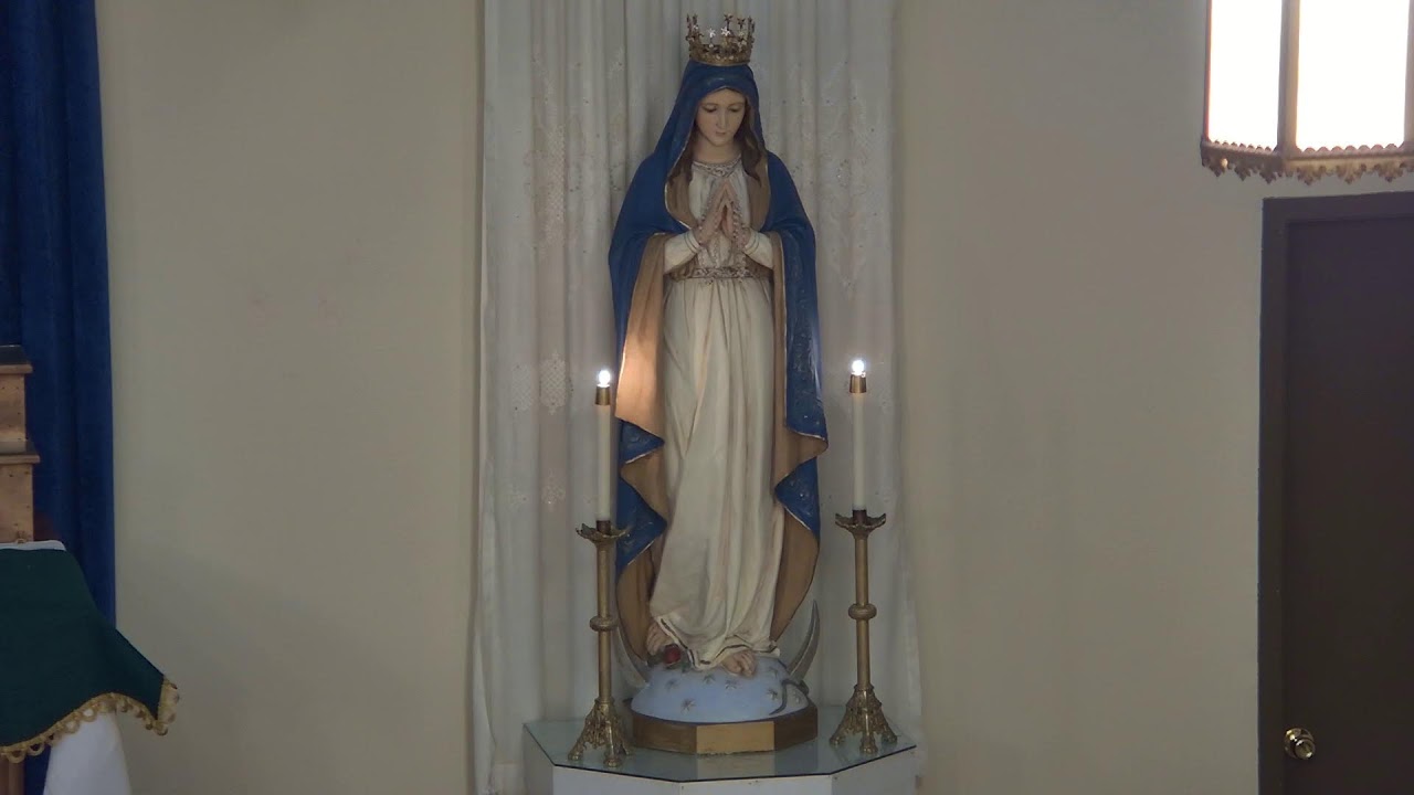 Rosary, November 11, 2024