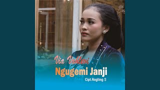 Download Lagu Ngugemi Janji MP3