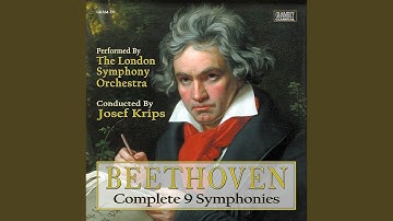 Symphony No. 3 In E Flat Major, Op. 55, Eroica: I. Allegro con brio