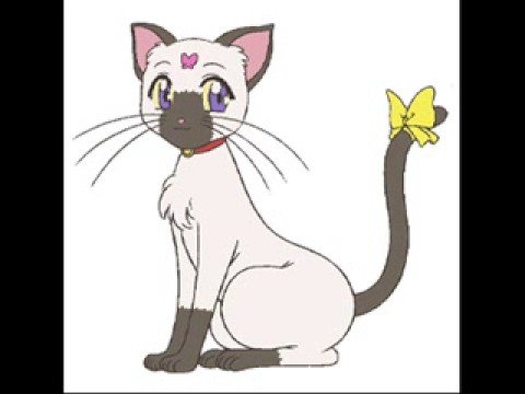 Papillon Rose Fan Dub Audition Rama Youtube Papillon Rose Fan Dub Audition Rama Youtube