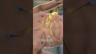 Capsule endoscopy #lofi #facts #3danimation #science