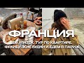 РУМ ТУР КВАРТИРЫ В ПАРИЖЕ | ПУТЕШЕСТВИЕ ПО ФРАНЦИИ | ФРАНЦУЗКИЕ БУДНИ И ЕМ УЛИТОК В РЕСТОРАНЕ | ВЛОГ