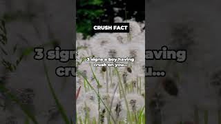 3 signs a boy having crush on you crushfacts facts factsshorts fyp fy shorts trending viral
