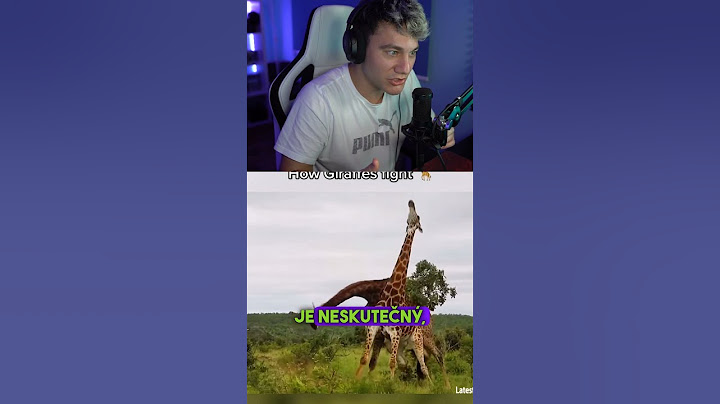 JAK BOJUJÍ ŽIRAFY?