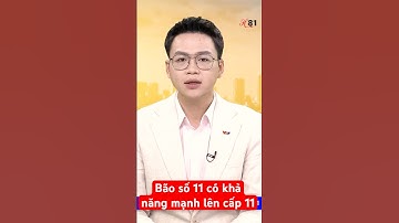 Bão số 12 có khả năng mạnh lên cấp 11, giật cấp 13
