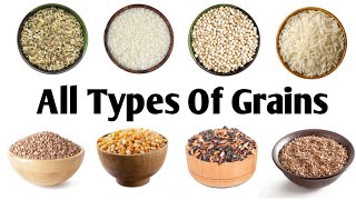 All Types Of Grains| Different Types Of Grains With Pictures And Names In English|Grains Vocabulary