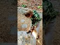 Real life mine craft
