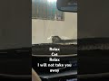 #cat #car #qatar #dailyvlog