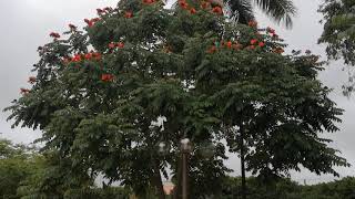 Drástico cambio de temperatura en Rioverde y la región media de SLP