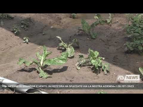«UN INFERNO DI GRANDINE E VENTO: IN MEZZ'ORA HA SPAZZATO VIA LA NOSTRA AZIENDA» | 26/07/2023