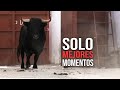 Toros Bravos Mejores Momentos 2023