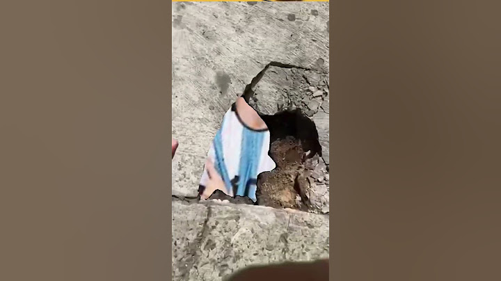 El verdadero goat