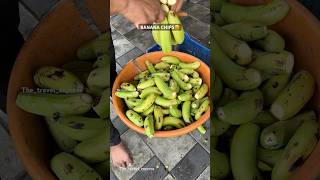 BANANA CHIPS😍| Indian Street Food