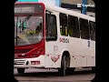 Onibus de manaus