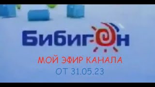 Мой Эфир Канала Бибигон