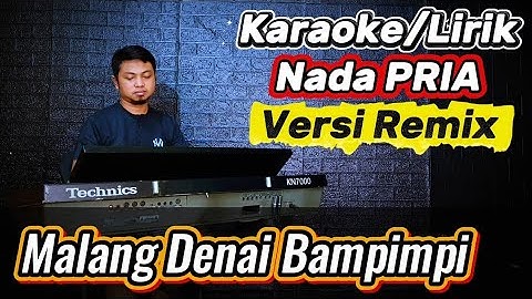 MALANG DENAI BAMIMPI ( Silva Hayati ) Versi Remix - Karaoke/Lirik Nada PRIA