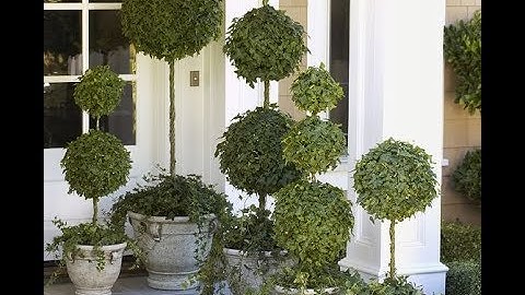 Forgot The Same Old Topiary - Do This On Your Front Porch Instead