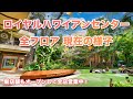 ハワイの今【ロイヤル・ハワイアン・センター】ワイキキ最大のショッピングセンターの全館をご紹介！110店舗以上のショップやレストランが集まる現在の様子をお届けします。