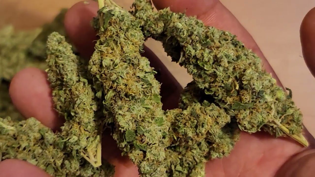 Strain Alert : Ice Cream Cake