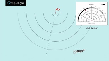 AquaEye Explainer: What is it? How Does it Work? And Who Uses it?