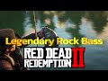 Legendary Rock Bass RED DEAD REDEMPTION2: A Fisher of Fish Legendary Fish  Legendary Rock Bass