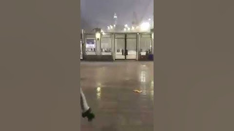 تلاوة الشيخ بندر بليلة  42ثانية