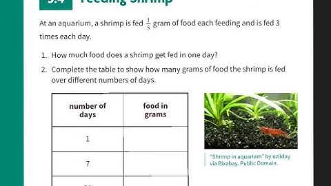 2.5 Two equations for each relationship