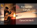 Opus 241 No 5 - Fernando Carulli - Classical guitar