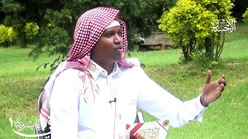 ما تيسر من سورة فاطر | الإمام محمود ماركوني