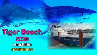 TIGER BEACH 2020 ,Bahamas sharks diving , Bimini sharks ,marten9cz, best short sharks film