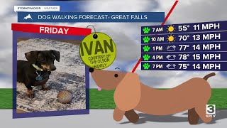 Dog-walking forecast (June 6, 2025)