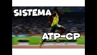 Sistemas Energéticos: Sistema ATP-CP