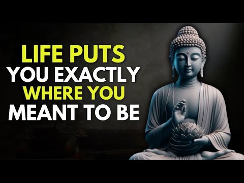 Everything Happens For A Reason Buddhist Wisdom In English 