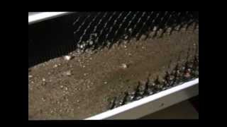 Testing small sluice with salted soil and found gold!
