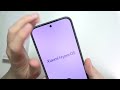 Xiaomi 17T Pro: How Many Cameras?