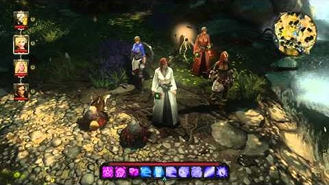 [19] Divinity: Original Sin - EE - Tactician Mode - "Rollin