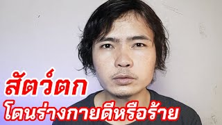 คำทำนายจากสัตว์ตก ตอน สัตว์ตกโดนส่วนต่างๆ ของร่างกาย ดีร้ายอย่างไร